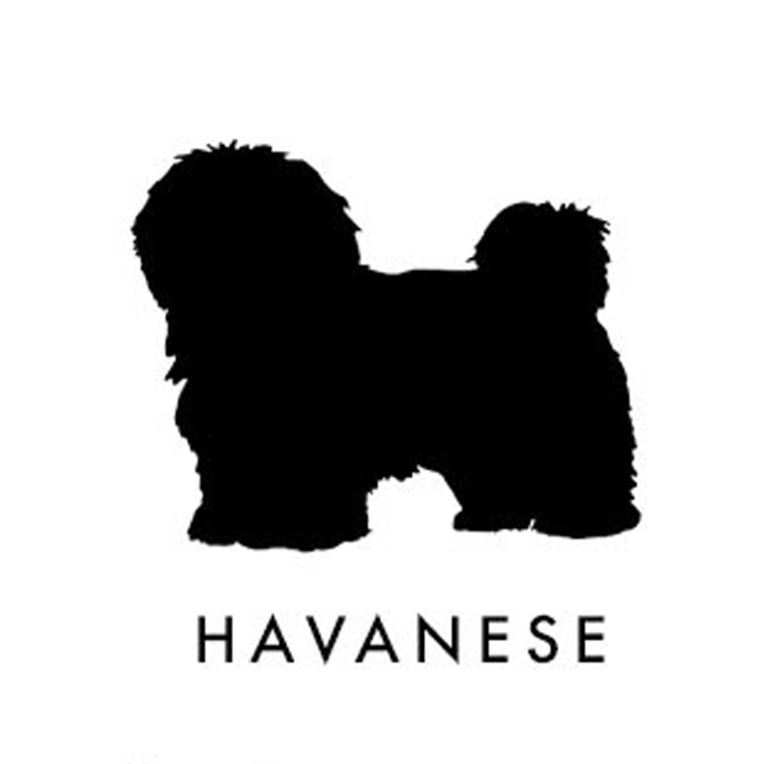Personalized Havanese Purse Charm