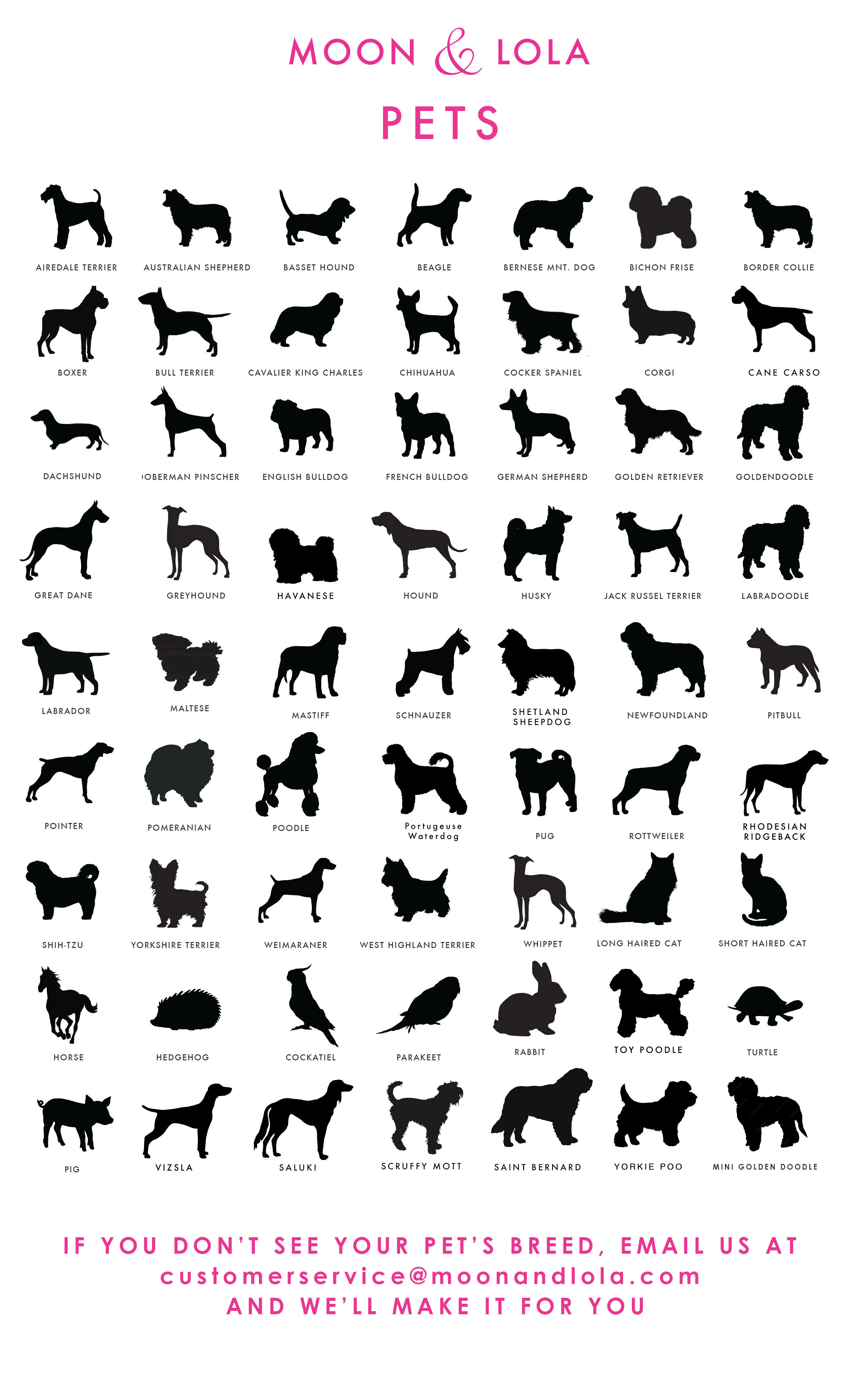 Pet Charm