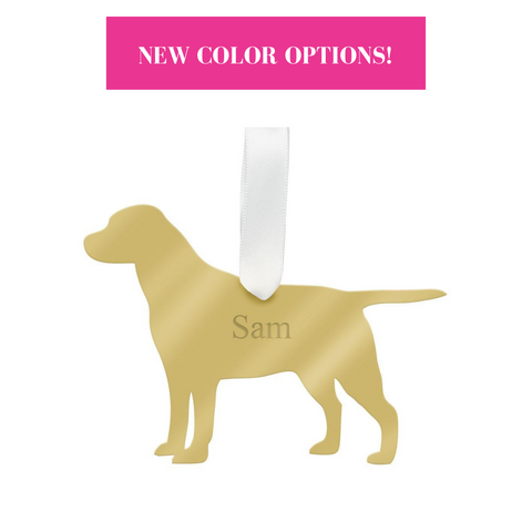 Acrylic Dog Bone Tag