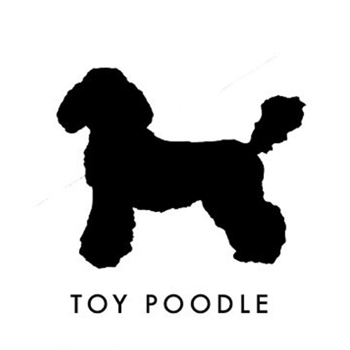 Personalized Toy Poodle Purse Charm
