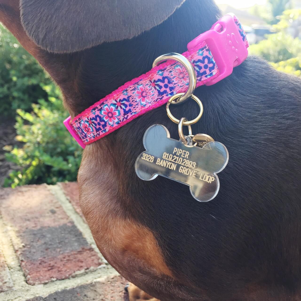 Moon and Lola - Acrylic Dog Bone Shaped Tag for pet collar