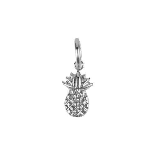 I found this at #moonandlola! - Metal Tiny Pineapple Charm