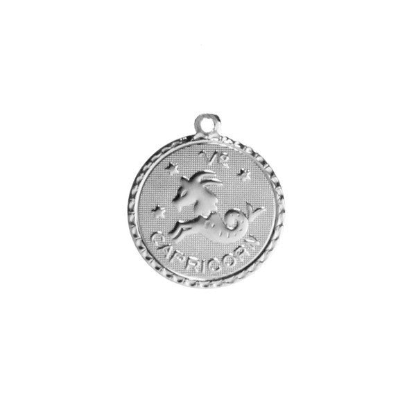 Zodiac Coin Charm